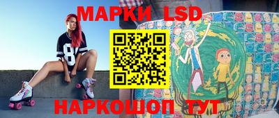 шишки Лесосибирск