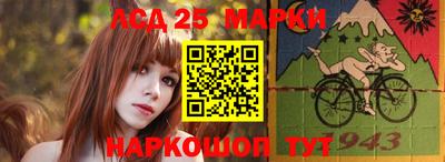 шишки Лесосибирск