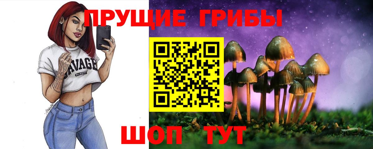 Галлюциногенные грибы GOLDEN TEACHER Зима